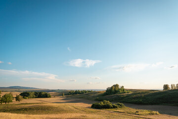 The grass and the field are yellow. Trees and blue skies. Beautiful nature in summer, early autumn.