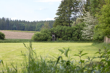 Obraz premium environmental protection, hunter seat with meadow and trees