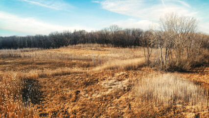 Fototapeta premium Beautiful meadow with bright blue sky