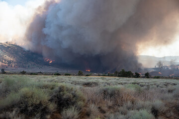 Fototapeta na wymiar Wildfire in the California Wilderness