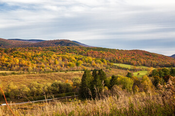 Naklejka premium Fall Season in Western Massachusetts