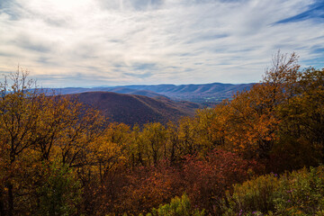 Obraz premium Fall Season in Western Massachusetts