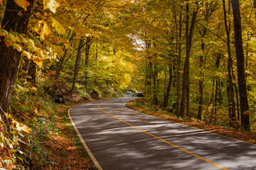 Naklejka premium Fall Season in Western Massachusetts