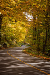 Obraz premium Fall Season in Western Massachusetts