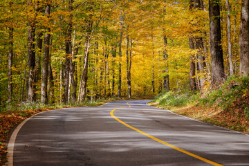 Fall Season in Western Massachusetts