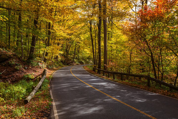 Fall Season in Western Massachusetts