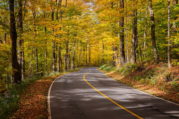Fall Season in Western Massachusetts