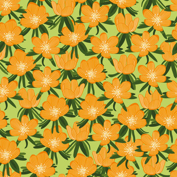 Blumen in Blumenwiese Muster orange grün, nahtlos, Winterlinge, farbenroh für Frühling und Ostern