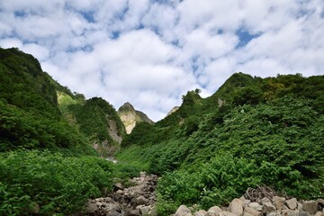 雨飾山の布団菱