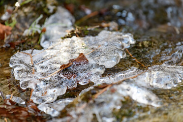 ice on a small river in the german national park bayerischer wald