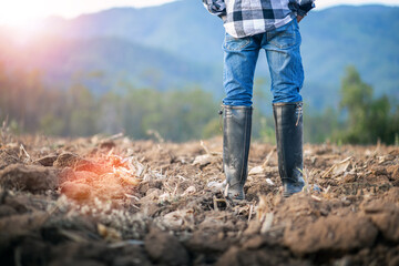 Farmer in rubber boots with jeans standing in the cornfield at sunset. agricultural concept.