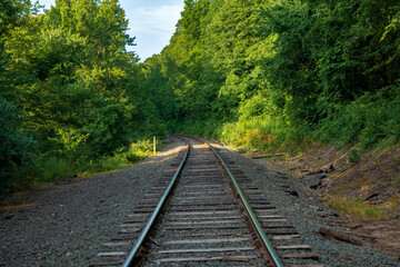 railway in the forest