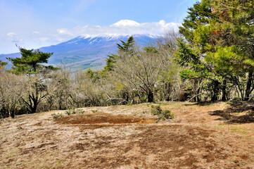 三国山稜の春　須走立山展望台より富士山を望む
