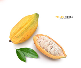 Top view of Yellow cocoa pods with half sliced isolated on white background.
