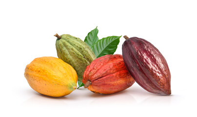 Different varieties of cocoa pods isolated on white background.