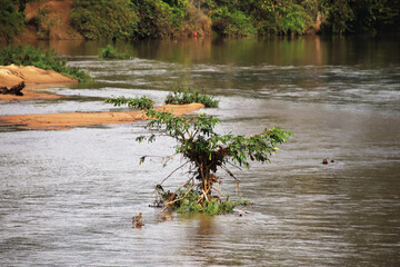 river tree water cloud 
