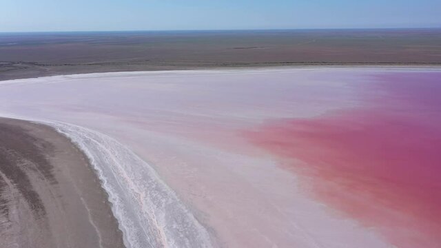 Pink salty lake Manych. Saline with pink plankton. Aerial wide shot from top to bottom on a summer sunny day. Dagestan, Russia