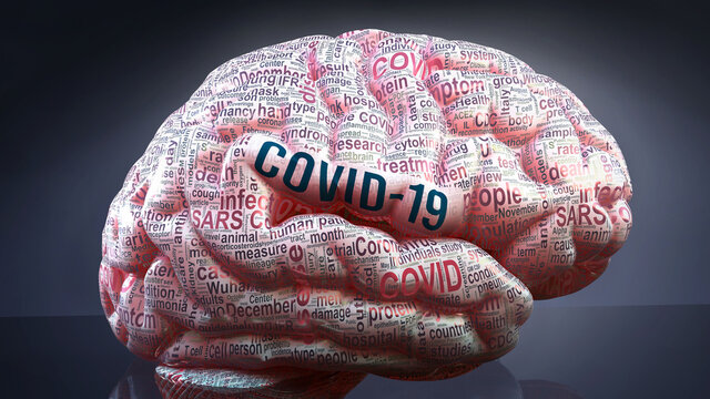 Covid 19 in human brain, hundreds of crucial terms related to Covid 19 projected onto a cortex to show broad extent of the condition and to explore concepts linked to it, 3d illustration
