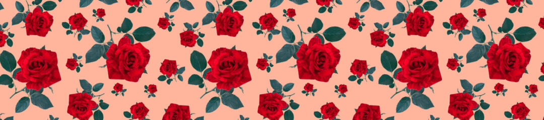 Panorama festive ornament of striped roses on a pink background.