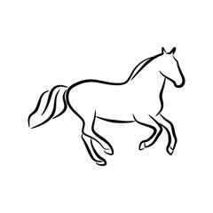 horse hand drawn line art