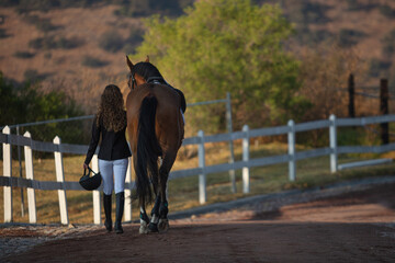 Horse and woman walking away in a sunny morning