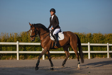 Young woman with curly hair riding horse in a equine field