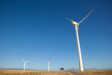 Wind turbine in a wheat field in Western Cape, South Africa, used to generate clean energy for the national grid.