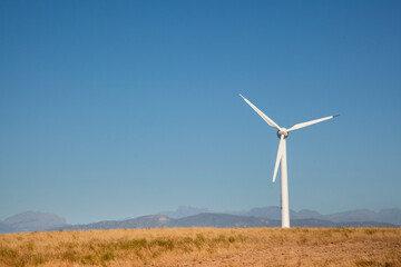 Wind turbine in a wheat field in Western Cape, South Africa, used to generate clean energy for the national grid.