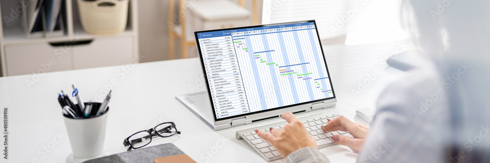 Poster Gantt Gantt Software Project