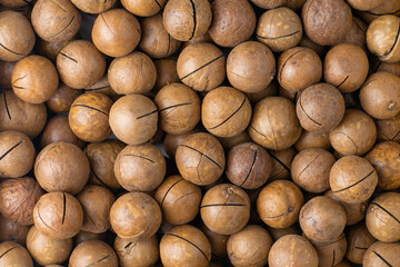 macadamia nuts with saws for splitting background backdrop