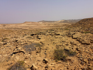 Rocky surface of African island of Boa Vista, Cape Verde. Volcanic terrain, dry climate, hills in the distance. Selective focus on the details, blurred background.