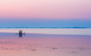 Lilac Pink Seascape With Gentle Dawn at the Calm Lake - 480511980