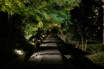 高台寺 大阪京都御朱印巡り