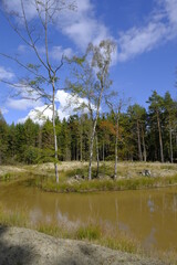 Obraz premium Feuchtbiotope im Neuwirtshauser Forst im Biosphärenreservat Rhön, Landkreis Bad Kissingen, Bayern, Deutschland