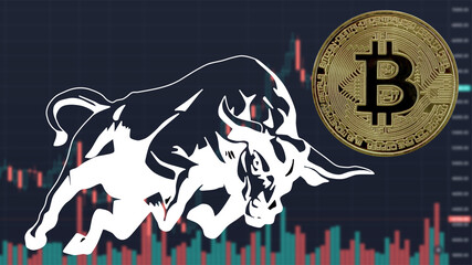 Bitcoin BTC bull market is coming. Bull Market Wall Street Financial Concept