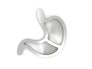 Stomach shape Plate in Silver. Concept of Stomach. 3D Rendering.