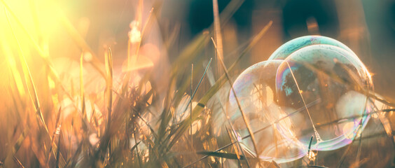 Beautiful abstract spring background with soap bubbles in the grass