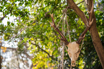 北九州平尾台千仏ロックでのリードクライミング