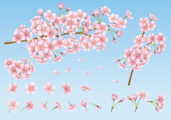 桜　イラスト　デザイン素材　セット