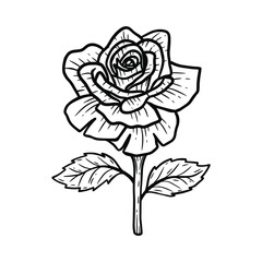 Obraz premium Hand Drawn Flower Rose Lotus leafs naturals isolated sticker black botanical Line Art illustration
