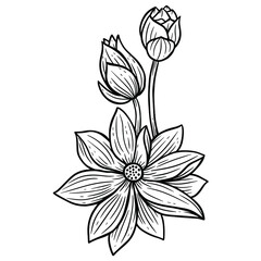 Hand Drawn Flower Rose Lotus leafs naturals isolated sticker black botanical Line Art illustration