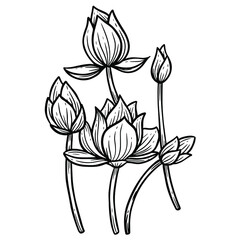 Hand Drawn Flower Rose Lotus leafs naturals isolated sticker black botanical Line Art illustration