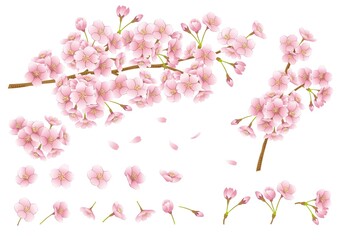 桜　イラスト　デザイン素材　セット