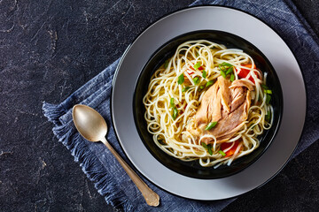 chicken noodle soup with carrots and scallion