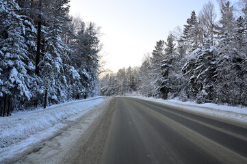 Fototapeta premium Winter landscape. The paved road runs through a dense pine forest. The trees look beautiful with white snow on the branches. Nature of Eastern Siberia