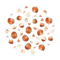 Watercolor backdrop of hazelnuts in round