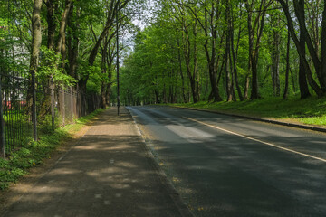 Fototapeta na wymiar sidewalk at springtime with sunlight and springtime green forest