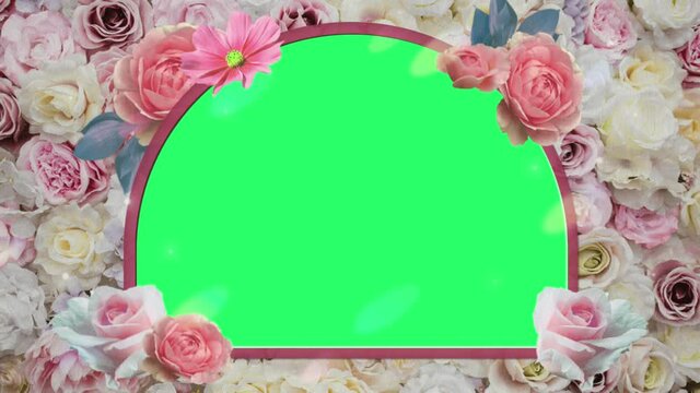 Animation pink flower blooming frame on green background.