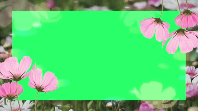 Animation pink flower blooming frame on green background.