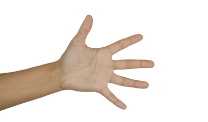 Woman hand making sign. Isolated on white background. Fifth photo in the set